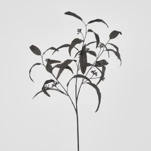 Halloween Willow Eucalyptus Black 72cm by Florabelle Living, a Plants for sale on Style Sourcebook