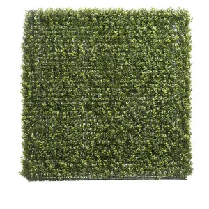 Boxwood Hedge 93x100cm by Florabelle Living, a Plants for sale on Style Sourcebook