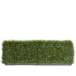 Boxwood Hedge 25x95cm by Florabelle Living, a Plants for sale on Style Sourcebook
