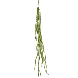 Pencil Hanging Bush 1.15m by Florabelle Living, a Plants for sale on Style Sourcebook