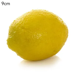 Lemon Yellow by Florabelle Living, a Plants for sale on Style Sourcebook