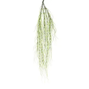 Grass Bush HangingVine 1m Green by Florabelle Living, a Plants for sale on Style Sourcebook