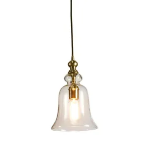 Tivoli Ceiling Pendant Small Brass by Emac & Lawton, a Plants for sale on Style Sourcebook