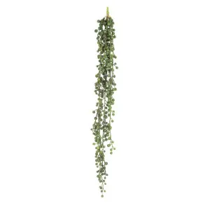 Pearl Hanging 65cm by Florabelle Living, a Plants for sale on Style Sourcebook