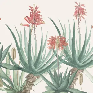 Medicine Man Wallpaper by Florabelle Living, a Artwork & Wall Decor for sale on Style Sourcebook