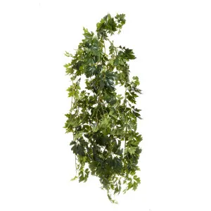 Hanging Cissus Bush UV Coated 1.1m by Florabelle Living, a Plants for sale on Style Sourcebook