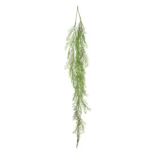 Astible Hanging Vine 1.42m by Florabelle Living, a Plants for sale on Style Sourcebook