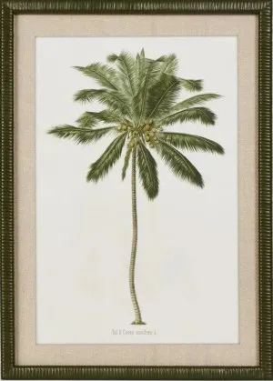 Apia Palms Wall Art A by OneWorld Collection, a Artwork & Wall Decor for sale on Style Sourcebook