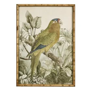 Jungle Parrot Wall Art A by OneWorld Collection, a Artwork & Wall Decor for sale on Style Sourcebook