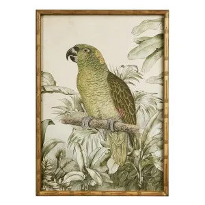 Jungle Parrot Wall Art B by OneWorld Collection, a Artwork & Wall Decor for sale on Style Sourcebook