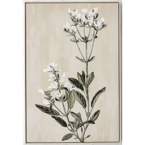 Wildflower Stem Wall Art by OneWorld Collection, a Artwork & Wall Decor for sale on Style Sourcebook