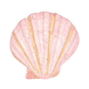 Sadie Pink Shell 13.5X12.5X5CM by OneWorld Collection, a Decor for sale on Style Sourcebook
