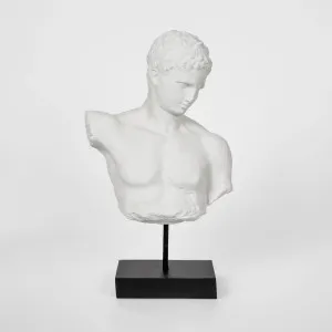 Grecian Polyresin Male Bust by OneWorld Collection, a Decor for sale on Style Sourcebook
