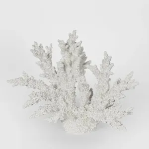 Delmar White Coral 34X13X27CM by OneWorld Collection, a Decor for sale on Style Sourcebook