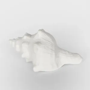 Seb White Sea Snail 12.5X7X5CM by OneWorld Collection, a Decor for sale on Style Sourcebook