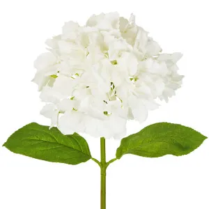 Hydrangea Stem Soft Touch 50cm White by OneWorld Collection, a Plants for sale on Style Sourcebook