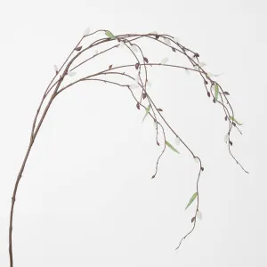 Pussy Willow Stem by Florabelle Living, a Plants for sale on Style Sourcebook