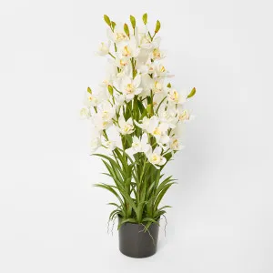 Real Touch Potted Cymbidium 90cm by Florabelle Living, a Plants for sale on Style Sourcebook