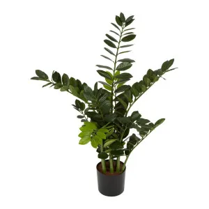 Smargago Plant 1.1m by Florabelle Living, a Plants for sale on Style Sourcebook