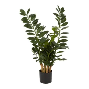 Smargago Potted Plant 90cm by Florabelle Living, a Plants for sale on Style Sourcebook