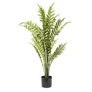 Fern Hares Foot 1.07m by Florabelle Living, a Plants for sale on Style Sourcebook