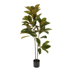 Real Touch Magnolia Tree 1.2M by Florabelle Living, a Plants for sale on Style Sourcebook