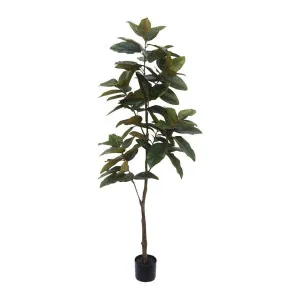 Real Touch Magnolia Tree 1.7M by Florabelle Living, a Plants for sale on Style Sourcebook