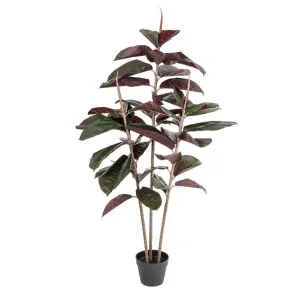 Rubber Tree Real Touch 1.45m by Florabelle Living, a Plants for sale on Style Sourcebook