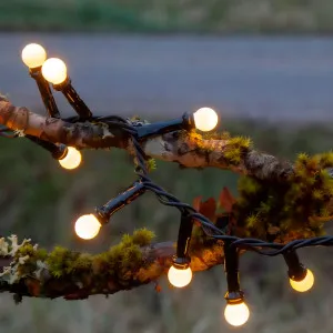 Eglo Warm White LED Berry Lights for Indoor/Outdoor Festive Decoration 6m by Eglo, a LED Lighting for sale on Style Sourcebook
