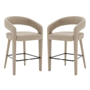 Eisha Velvet Bar Stool (Set of 2) by Luxo Furniture, a Saunas for sale on Style Sourcebook