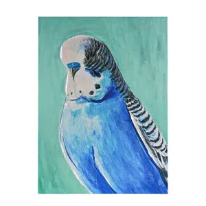 Blue Budgie Enhanced Canvas Print by Cafe Lighting and Living, a Prints for sale on Style Sourcebook