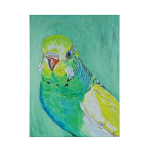 Green Budgie Enhanced Canvas Print by Cafe Lighting and Living, a Prints for sale on Style Sourcebook