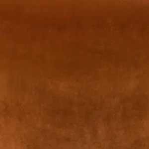 Bliss Upholstery Swatch - Caramel Velvet by Cafe Lighting and Living, a Fabrics for sale on Style Sourcebook