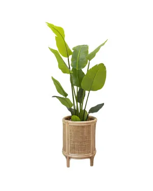Macey Plant Stand by Koko Collective, a Plant Holders for sale on Style Sourcebook