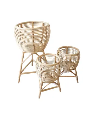 Lenny Plant Stand by Koko Collective, a Plant Holders for sale on Style Sourcebook