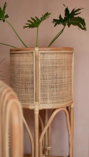 Lexi Plant Stand by Koko Collective, a Plant Holders for sale on Style Sourcebook