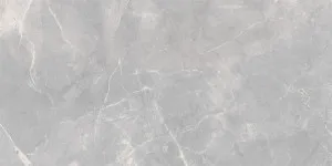 Lux Artic Grey Matt Tile by null, a Porcelain Tiles for sale on Style Sourcebook