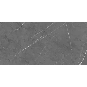 Ice Pietra Charcoal Polished Tile by null, a Porcelain Tiles for sale on Style Sourcebook
