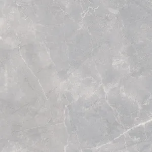 Lux Artic Grey Matt by null, a Porcelain Tiles for sale on Style Sourcebook
