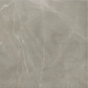 Timeless Amani Grey Matt Tile by null, a Porcelain Tiles for sale on Style Sourcebook