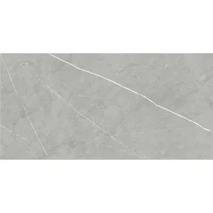 Ice Pietra Grey Silk Tile by null, a Porcelain Tiles for sale on Style Sourcebook