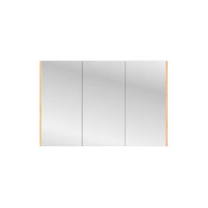 Brighton Shaving Cabinet 1200 Three Door Solid Timber Sides by null, a Shaving Cabinets for sale on Style Sourcebook