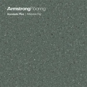 Accolade Plus | Moreton Fig by Armstrong Flooring, a Vinyl Sheets for sale on Style Sourcebook