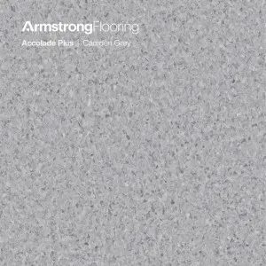 Accolade Plus | Camden Grey by Armstrong Flooring, a Vinyl Sheets for sale on Style Sourcebook