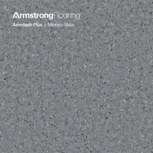 Accolade Plus | Mintaro Slate by Armstrong Flooring, a Vinyl Sheets for sale on Style Sourcebook