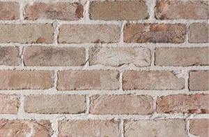 Thin Brick - Original by Austral Bricks, a Bricks for sale on Style Sourcebook