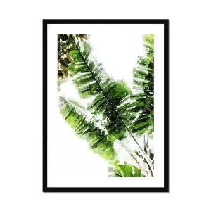 Banana Leaf Framed Print by Seek & Ramble, a Prints for sale on Style Sourcebook