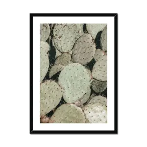 Prickly Pear Cactus Framed Print by Seek & Ramble, a Prints for sale on Style Sourcebook