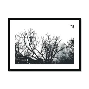 Sydney Harbour Bridge Through Trees Framed & Mounted Print by Seek & Ramble, a Prints for sale on Style Sourcebook
