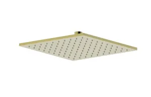 Square Shower Head Brushed Brass by null, a Shower Heads & Mixers for sale on Style Sourcebook